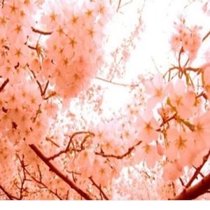 Meet your Posher, Hearty